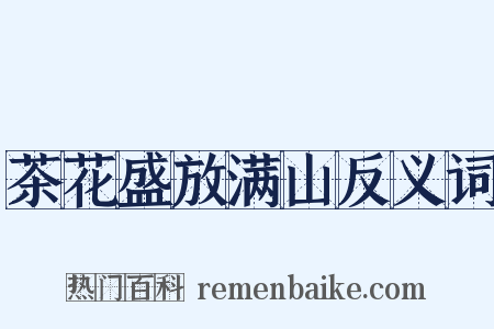茶花盛放满山反义词是什么意思的图片